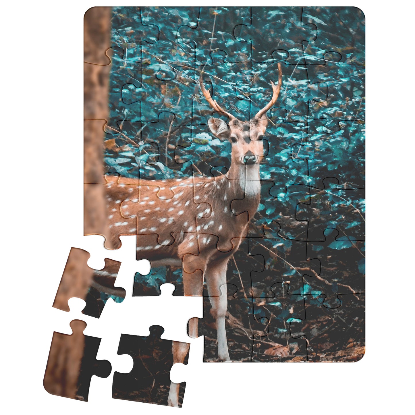 Fawn Puzzle