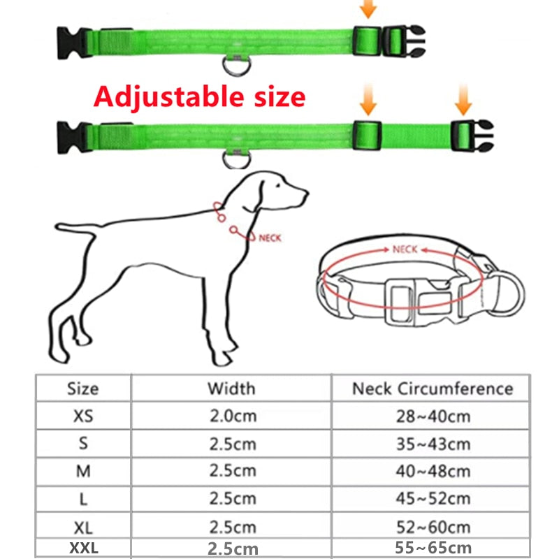 Adjustable LED Glowing Pet Collar