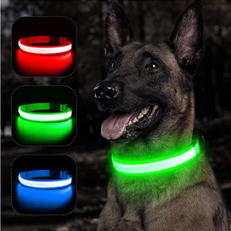 Adjustable LED Glowing Pet Collar