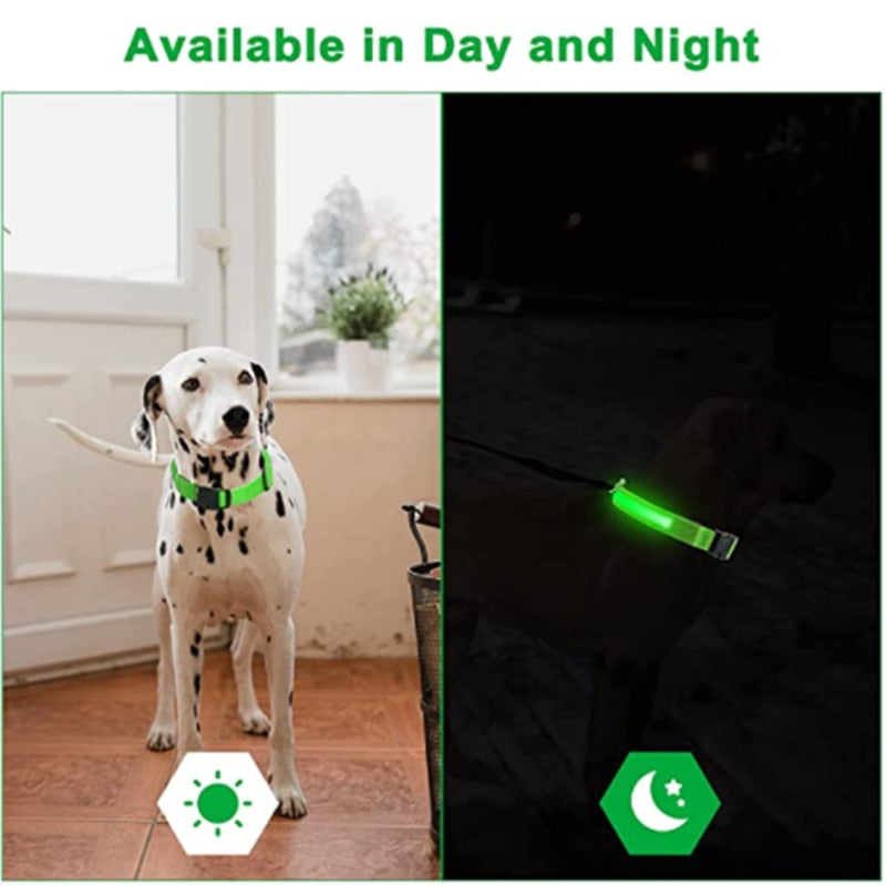 Adjustable LED Glowing Pet Collar